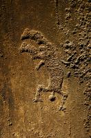 tanum_14_thu_2013_t1.jpg